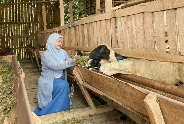 sentra ternak cianjur dompet dhuafa