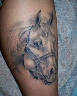 Horse Head Tattoo design photo gallery - Horse Head Tattoo ideas