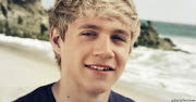 Niall Horan (born 13 September 1993) is from Mullingar, County Westmeath, . (niall one direction )