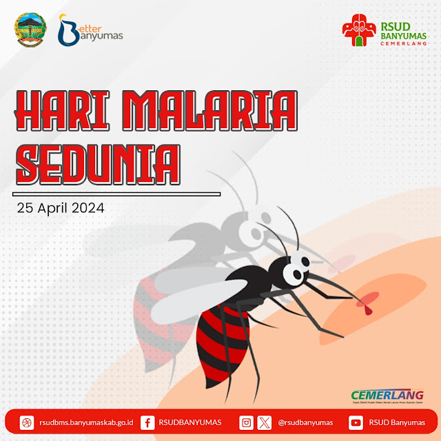 Memperingati Hari Malaria Sedunia 2024: Waspada Gejala dan Pencegahan Malaria