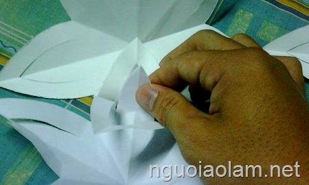 người áo lam - huynh trưởng gia đình phật tử