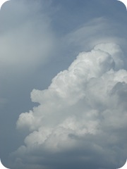 CIMG7892