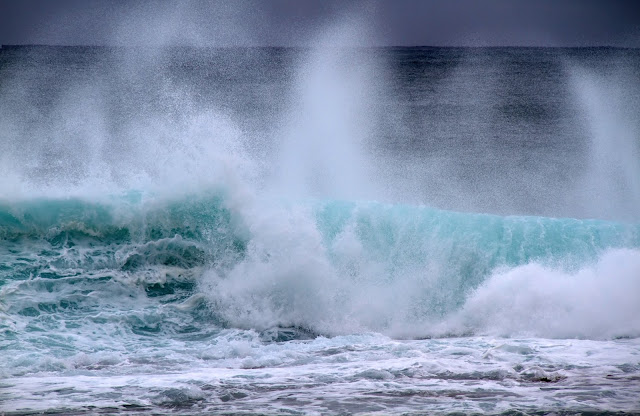 http://www.sustainableoceansummit.org/