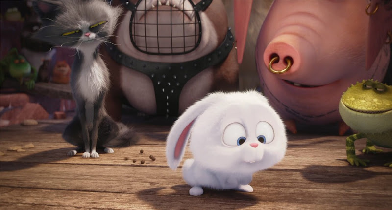 The Secret Life of Pets United States Movie