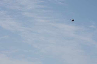 A CF-18 Hornet Takes To The Skies Over Lake Ontario.