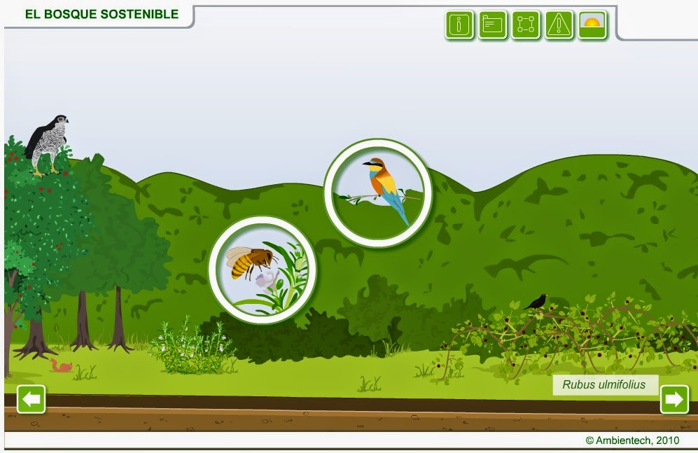 http://www.ambientech.org/spa/animation/el-bosque-sostenible