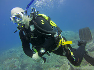 Divers in Tenerife