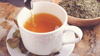 Best Herbal Teas