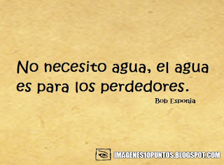 frases de bob esponja