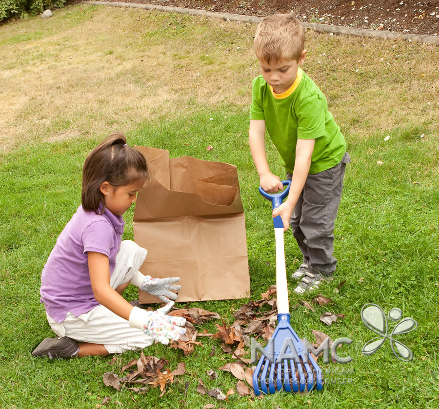 namc montessori functionality environment. children raking leaves