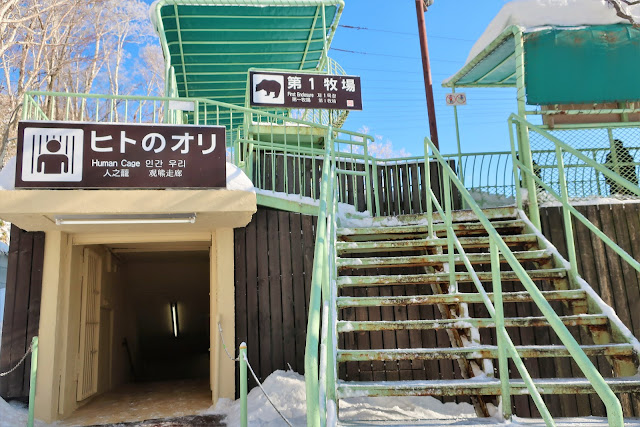 北海道 のぼりべつクマ牧場 登別