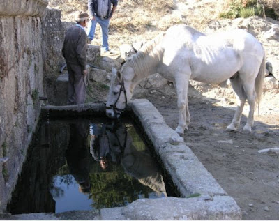 lavadero-fuente-arriba-el-cerro