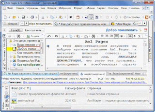 Aml Pages главное окно