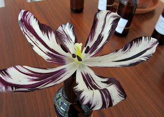 Tulipa 'Rory McEwen'