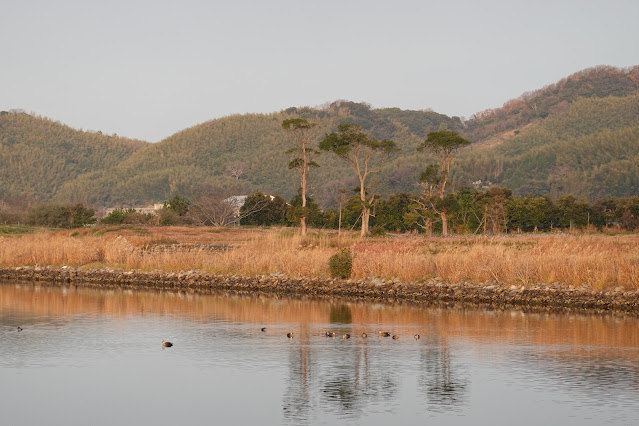 島根県安来市中海町 吉佐新川