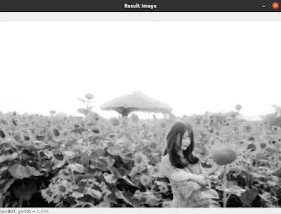 smoothing an image with median blur using opencv python