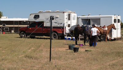 Your Horse Being Loaded Into a Trailer