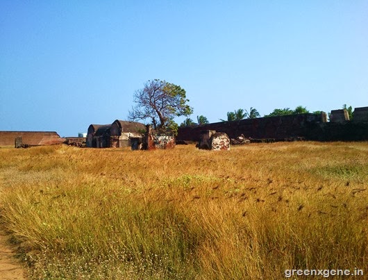 Dutch Fort - Interior