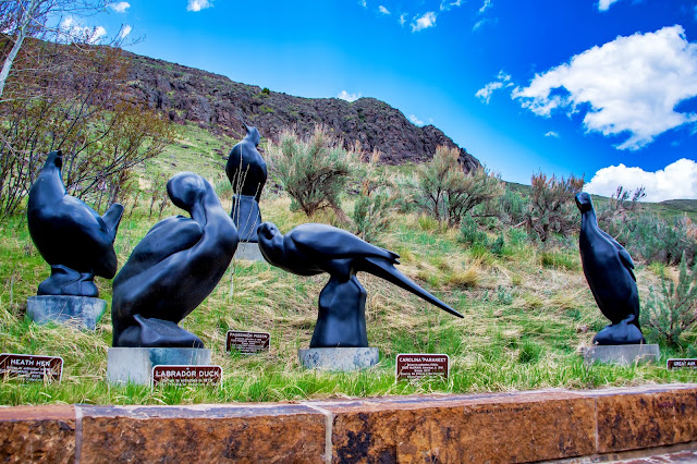 Extinct Bird Sculptures National Museum of Wildlife Art Jackson Wyoming Grand Tetons National Park