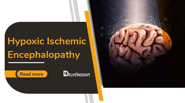 Hypoxic Ischemic Encephalopathy market