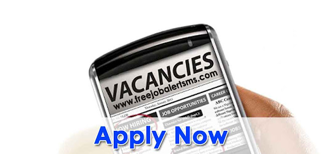 BECIL Data Entry Operator MTS 2022