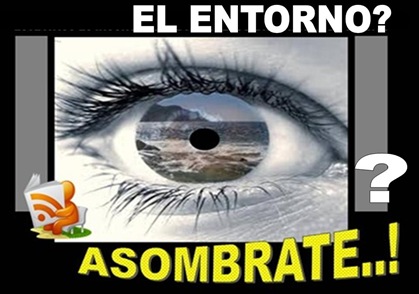 Diapositiva5