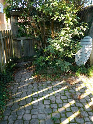 Palmerston Little Italy Toronto Back Yard Garden Clean up before by Paul Jung Gardening Services