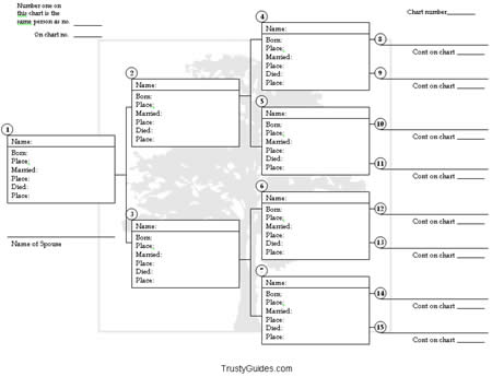 family tree template with pictures. Pedigree chart (download at