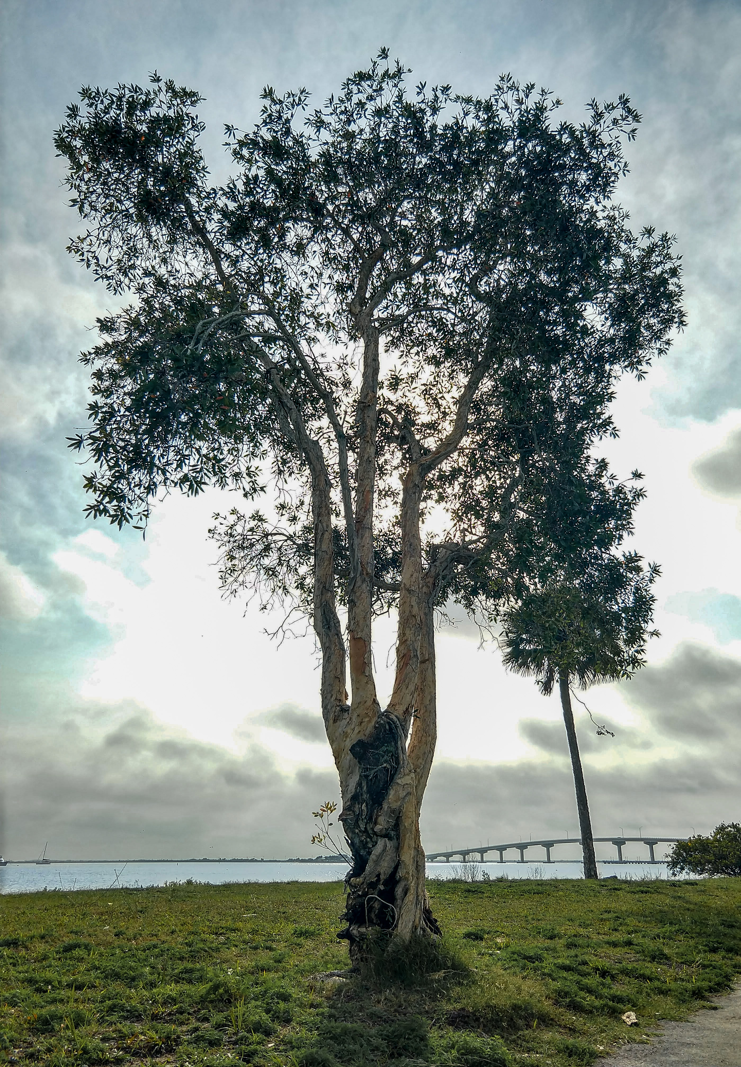 titusville, sand point park, indian river