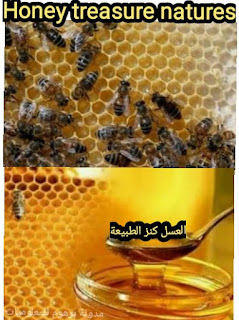 العسل کنز الطبیعة ( فوائده واضراره ) Honey treasure natures (benefits and harms)