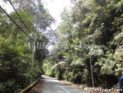 Gunung Jerai Hiking 36