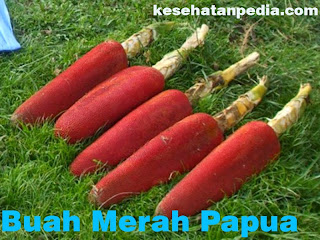 Khasiat Buah MERah Papua