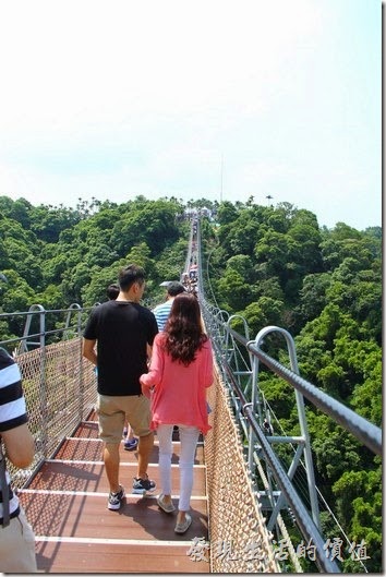 南投-天空之橋。南投的天空之橋感覺上與台北內湖的白石湖吊橋似乎有點類似，只是少了一些翻騰的龍骨造型，有興趣的朋友可以參考看看。