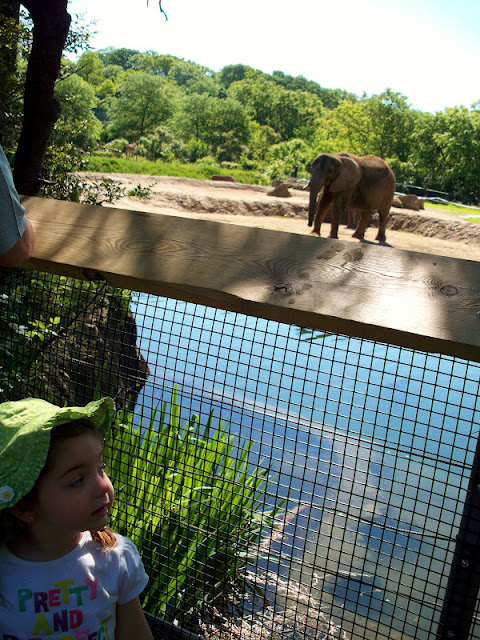 Ana with the elephant.