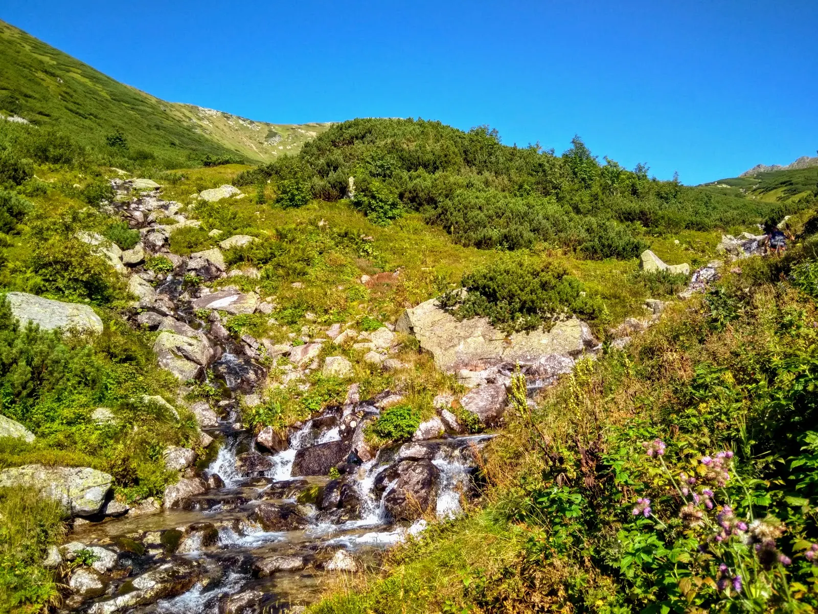 Tatry. Tatry Zachodnie. Główna grań Tatr. Szczyty Tatr. Bystra. Najwyższy szczyt Tatr Zachodnich. Bystra wejście od strony słowackiej. Lato w Tatrach. Łatwe szczyty w Tatrach.