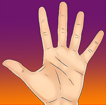 Facts About Shape Of Hands Palmistry