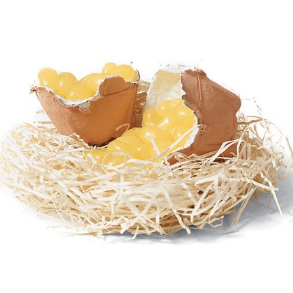 Candied  Eggshells