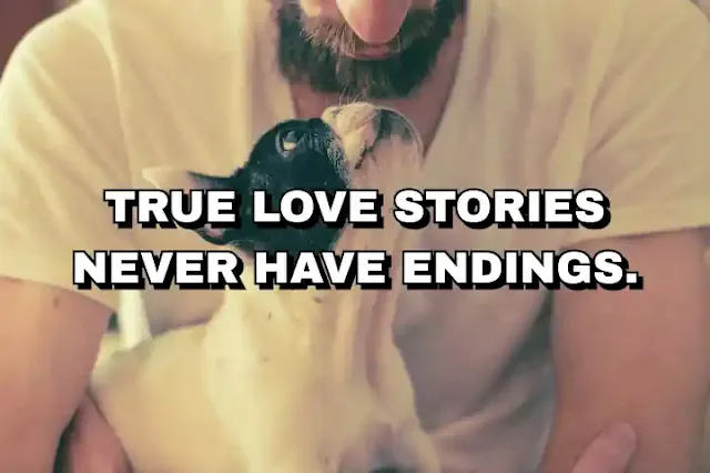 87. “True love stories never have endings.”