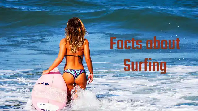 75 Facts about Surfing: History, Culture, and Benefits of the Popular Water Sport