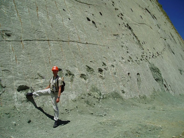 Bolivia Cal Orcko pared huellas de dinosaurio