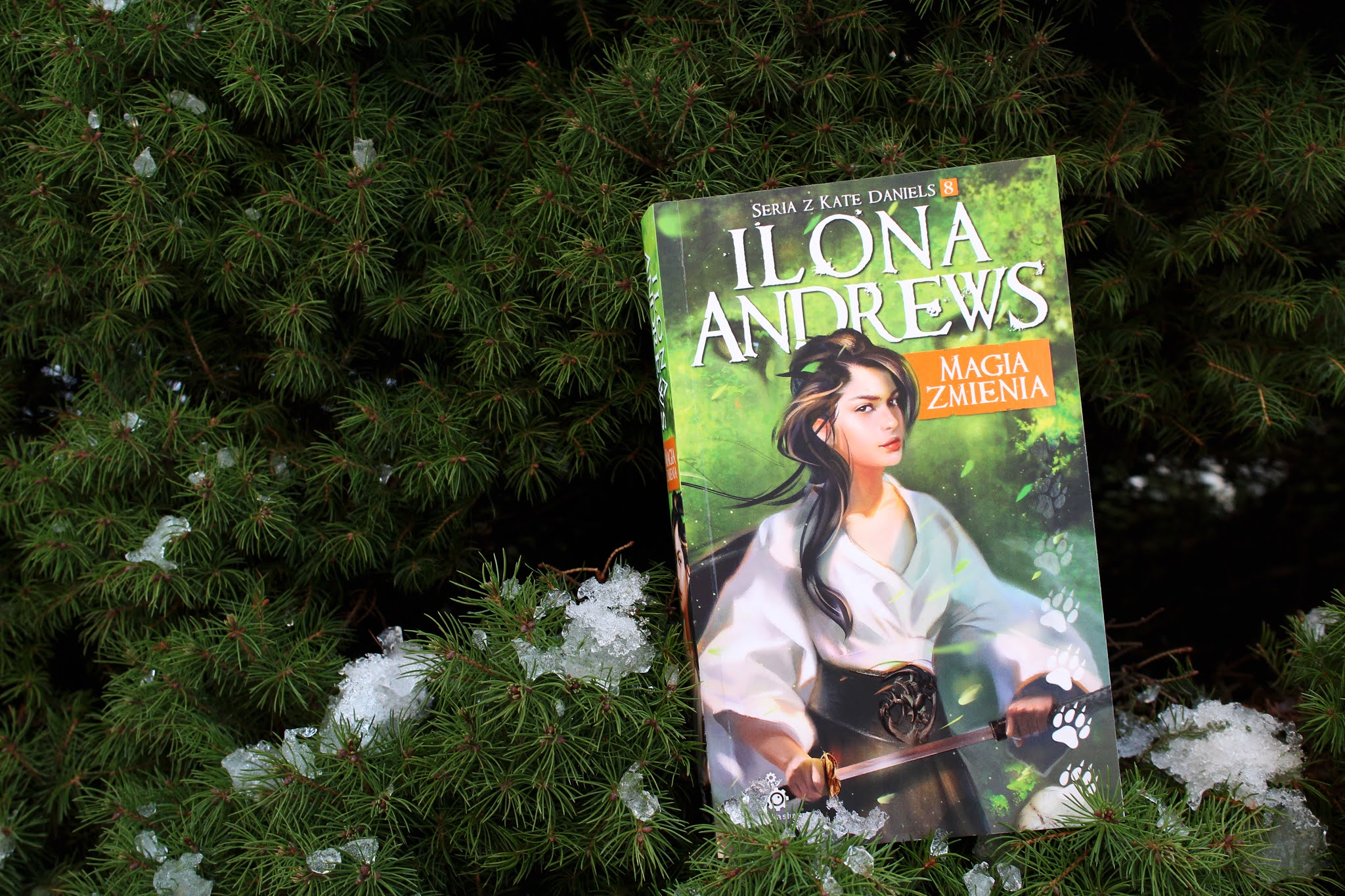 Ilona Andrews - Magia zmienia