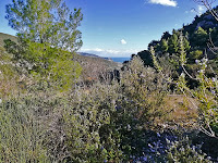 Valle Carbonara - Gargano