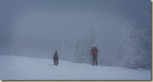 IMG_0996 copy
