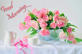 lovely-morning-with-pink-flowers