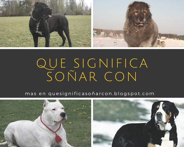 cual es el significado de soñar con canes o perros guardianes