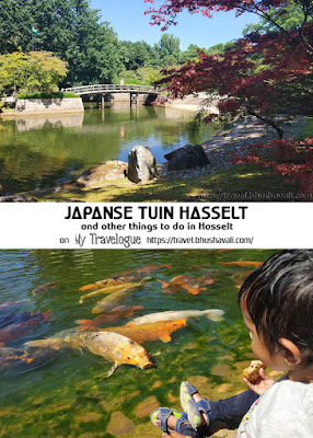 Japanse Tuin Wat te doen in hasselt