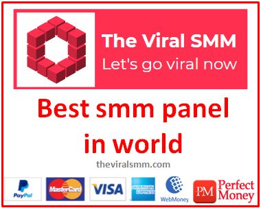 best smm panel in world, theviralsmm, the viral smm