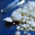 Detienen a 2 dominicanos intentaron entrar a PR con 250 kilos de cocaína