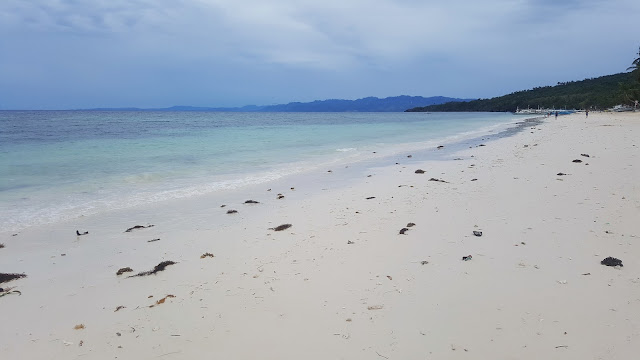 carabao+island+beach+romblon.jpg