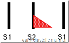 early diastolic murmur